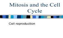 Mitosis and the Cell Cycle PowerPoint Presentation