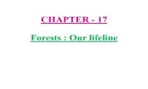 Forests Our lifeline PowerPoint Presentation
