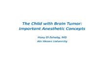 The Child with Brain Tumor PowerPoint Presentation