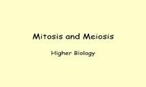 Mitosis and Meiosis PowerPoint Presentation