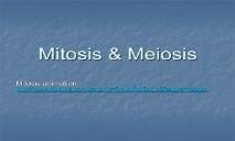 Meiosis and Mitosis PowerPoint Presentation