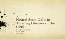 The Link Between Stem Cells and Brain Tumors PowerPoint Presentation