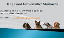 Dog Food for Sensitive Stomachs PowerPoint Presentation