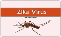 Zika Virus Disease PowerPoint Presentation