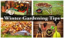 Winter Gardening Tips PowerPoint Presentation