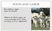 Food And Labor PowerPoint Presentation