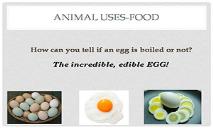 Animal Uses Food PowerPoint Presentation