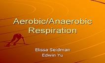 Aerobic Anaerobic Respiration PowerPoint Presentation