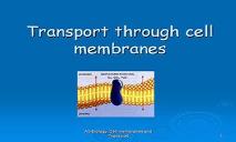 Cell Membrane Transport PowerPoint Presentation