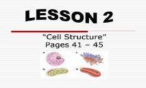 Cell Structures PowerPoint Presentation