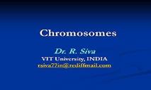 Chromosome PowerPoint Presentation