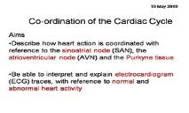 Co-Ordination Of The Cardiac Cycle PowerPoint Presentation