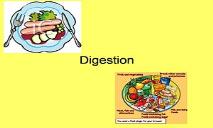 Digestion PowerPoint Presentation
