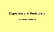 Digestion And Peristalsis PowerPoint Presentation
