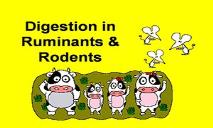 Digestion In Ruminants & Rodents PowerPoint Presentation