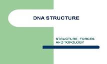 Dna Structure PowerPoint Presentation