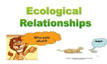 Ecological Relationships PowerPoint Presentation