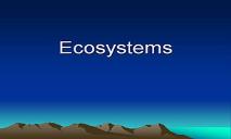 Ecosystems PowerPoint Presentation