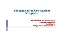 Emergence Of The Animal Kingdom PowerPoint Presentation