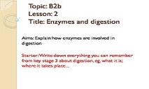 Enzymes And Digestion PowerPoint Presentation