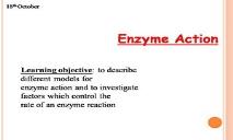 Enzymes-Models Of Action PowerPoint Presentation