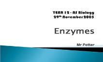 Enzymes PowerPoint Presentation