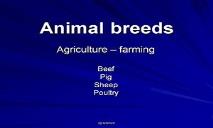 Farm Animal Breeds PowerPoint Presentation