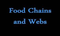 Food Chains And Webs PowerPoint Presentation