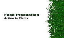Food Production & The Environment PowerPoint Presentation