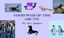 Food Web Of The Arctic PowerPoint Presentation