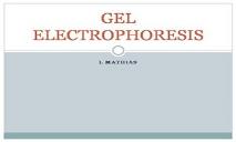 Gel Electrophoresis PowerPoint Presentation