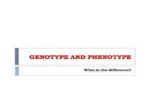 Genotype And Phenotype PowerPoint Presentation