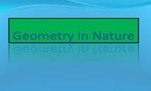 Geometry In Nature PowerPoint Presentation