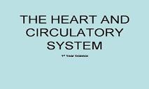Heart And Circulatory System PowerPoint Presentation