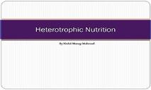 Heterotrophic Nutrition PowerPoint Presentation