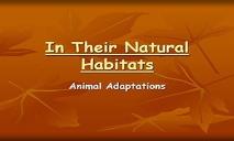 In Their Natural Habitats PowerPoint Presentation