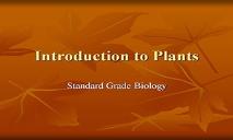 Introduction To Plants PowerPoint Presentation