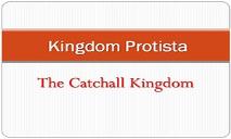Kingdom Protista Algae PowerPoint Presentation