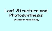 Leaf Structure And Photosynthesis PowerPoint Presentation