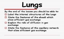 Lungs PowerPoint Presentation