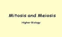 Mitosis And Meiosis PowerPoint Presentation