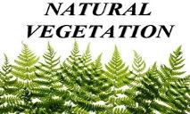 Natural Vegetation PowerPoint Presentation