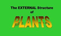 Plant Part Roots PowerPoint Presentation