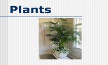 Plants PowerPoint Presentation