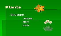 Plants General Structure PowerPoint Presentation