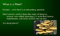 Plants Why Study Them PowerPoint Presentation