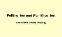 Pollination And Fertilisation PowerPoint Presentation