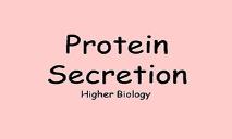 Protein Secretion PowerPoint Presentation
