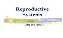Reproductive Systems PowerPoint Presentation