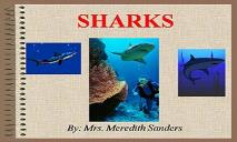 Sharks PowerPoint Presentation